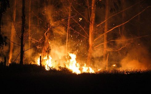 Onemi entregó nuevo reporte sobre incendios forestales en el país