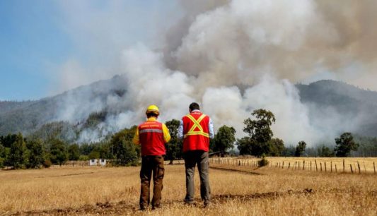 Onemi: Hay 31 focos activos de incendios forestales en el país