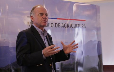 Antonio Walker y vinculación de incendios con causa mapuche: Nunca lo asociamos a un grupo particular