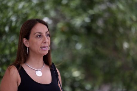 Cecilia Pérez: "Rechazamos las burlas al dolor de compatriotas que sufrieron la dictadura de Pinochet"