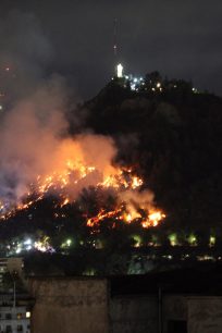 Ministro de Agricultura por incendio en cerro San Cristóbal: "Probablemente fue intencional"