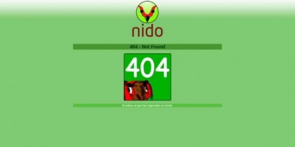 Caso Nido.org: PDI confirma que investiga las causas de la muerte del presunto administrador