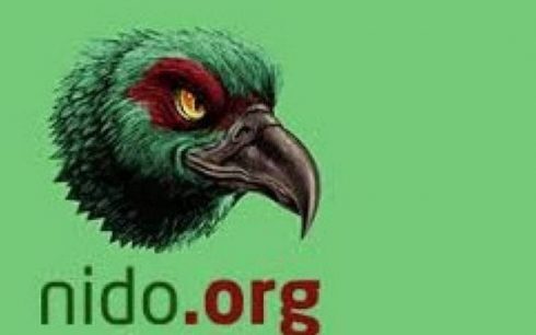 Nido.org: 39 denuncias a nivel nacional corresponden a menores de edad