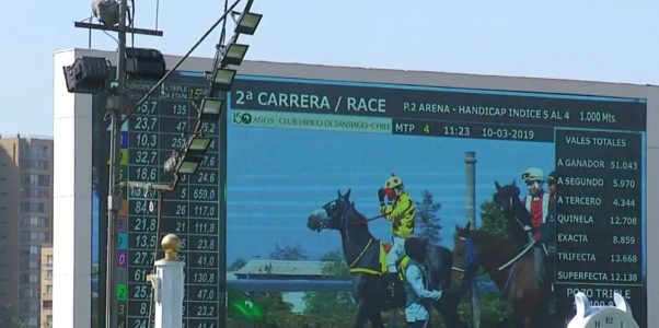 "Ya Primo" se coronó campeón del Gran Premio Latinoamericano de Hípica