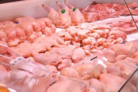 Colusión de los pollos: Solicitan aumentar las multas a los supermercados involucrados