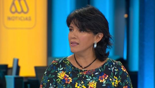 Yasna Provoste y visita de Jair Bolsonaro: "Él representa claramente lo que uno no quiere para una sociedad"