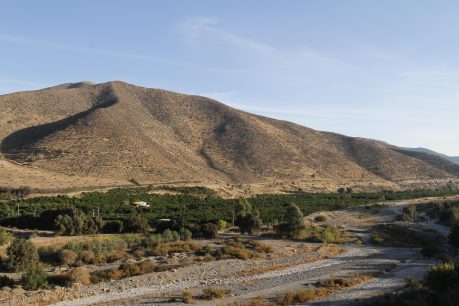 Petorca: Habitantes deben vivir con 50 litros diarios de agua debido a severa sequía