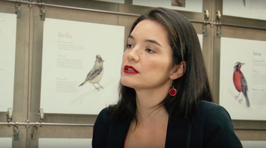 Investigadora del CEP criticó proyecto de reforma a las Isapres presentada por ministro Mañalich