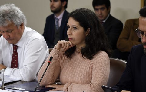 Diputada Gael Yeomans ante las críticas del Ministro del trabajo por las 40 horas: "No leyó el proyecto"