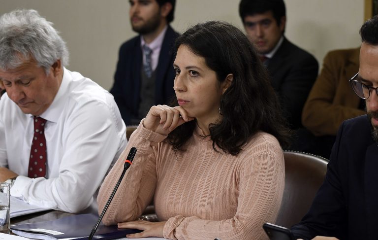 Diputada Gael Yeomans ante las críticas del Ministro del trabajo por las 40 horas: "No leyó el proyecto"