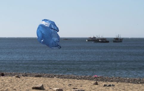 Diálogos Infinita: Capítulo 12 - Medioambiente