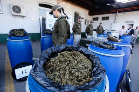 Diálogos Infinita: Capítulo 18 - Narcotráfico