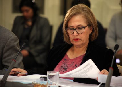 Senadora Muñoz: "La Nueva Constitución se escribe en paridad"