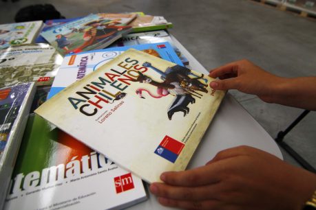 Superintendente de Educación: "El texto que entrega el Ministerio de educación, versus el de un colegio particular (...) No hay grandes diferencias"