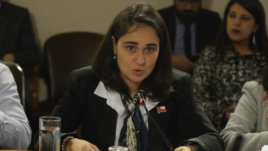 Subsecretaria de la Niñez sobre los detenidos en manifestaciones: "Hacemos un llamado a no exponer a los niños en los hechos de violencia"
