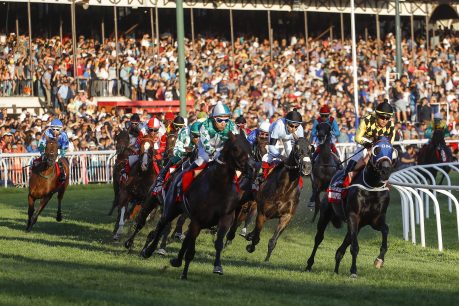 Gerente Comercial del Club Hípico: "Estamos viviendo una de las mayores crisis de la historia de la hípica"