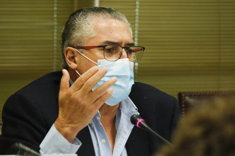 Pizarro por el proyecto del ingreso familiar de emergencia: "Con la forma en como está implementado el proyecto, va a quedar mucha gente fuera"
