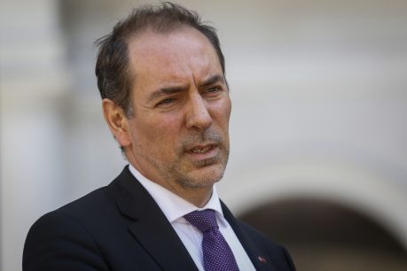 Louis De Grange: "Tenemos una serie de protocolos que hasta el momento han sido exitosos (...) la principal fuente de protección es el autocuidado"