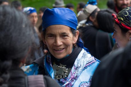 Machi Francisca Linconao: Las propuestas de la constituyente más votada de los pueblos originarios