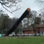 Insólito: Monumento a Simón Bolivar es destruido en Concepción tras mal cálculo en la tala de un árbol