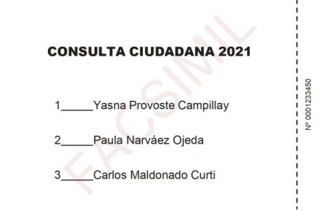 voto consulta ciudadana