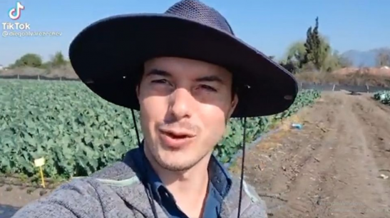 Joven chileno confunde el brócoli con la coliflor y se hace viral en redes sociales