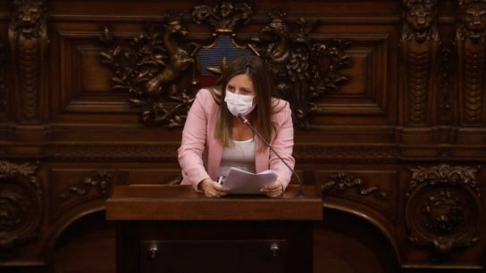 Marinovic acusa a algunos constituyentes de "mentir y destruir" e insistió en cambio de bandera y el himno chileno