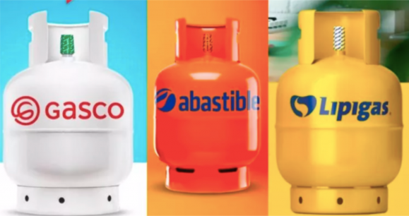 Gas en Chile: Las razones que busca la FNE para una eventual baja en sus precios