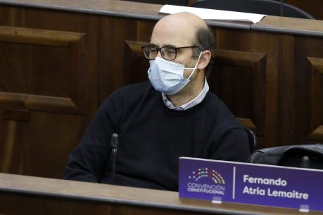 Fernando Atria: Cuestionan que su hija Antonia Atria sea asesora de la convencional Giovanna Roa