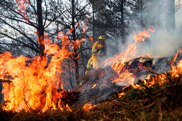 Se registran 56 incendios forestales a nivel nacional y casi 12 mil hectáreas consumidas
