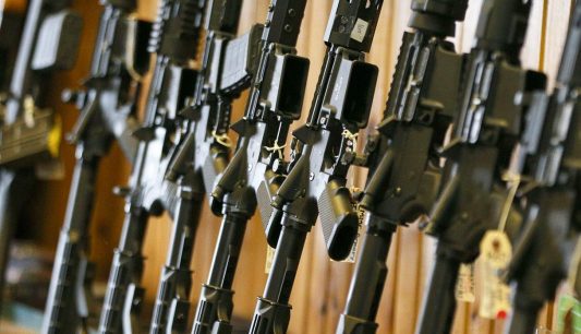 Cámara Baja aprueba el proyecto de Control de Armas y queda a un paso de convertirse en ley