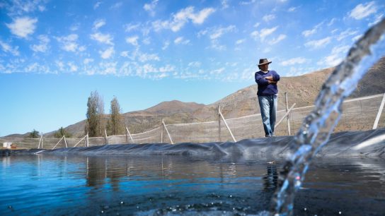 Reforma al Código de Aguas queda lista para ser ley tras una década de tramitación en el parlamento