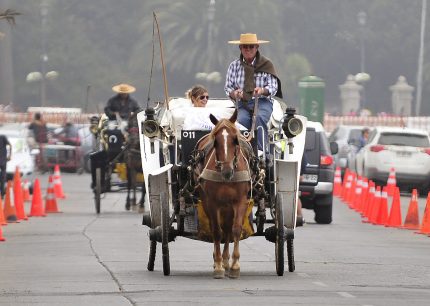 Aprueban ley que prohíbe el funcionamiento de los Coches Victorias de Viña del Mar