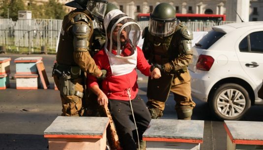 Protesta con abejas frente a La Moneda deja a un carabinero picado y a 4 personas detenidas