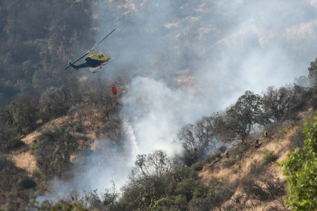 Onemi reporta 29 incendios forestales activos a nivel nacional