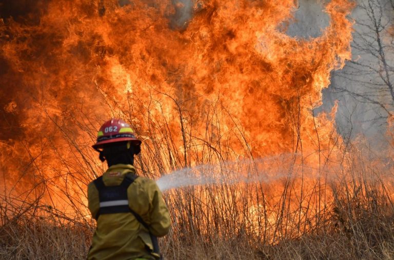 Conaf afirma que hay "alrededor de 900 incendios menos" que en temporadas anteriores