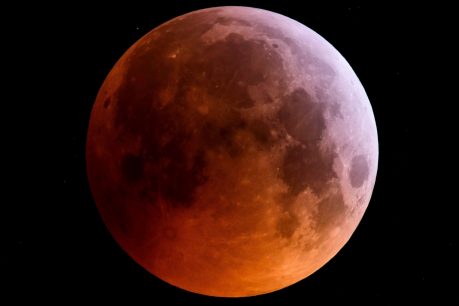 Eclipse lunar: ¿Cuándo y dónde se podrá observar la “Luna de Sangre”?