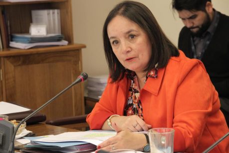 Senadora Carmen Gloria Aravena: "Mientras el gobierno no se querelle contra quienes se adjudiquen atentados, estamos en el peor de los mundos"