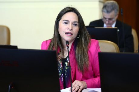 Diputada Joanna Pérez (DC) tras ataques en Contulmo: "El gobierno ha hecho un trabajo lento''
