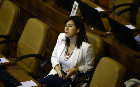Catalina Pérez: "El compromiso de RD hacia el presidente sigue siendo incondicional"