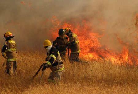 Conaf por incendios forestales: "No le podemos echar la responsabilidad a la crisis climática en su totalidad"