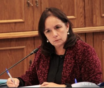 Carmen Gloria Aravena: "El proyecto de infraestructura crítica no va a frenar la migración ilegal"