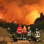Jefe prevención de incendios Conaf: “Ninguno de estos incendios es por causas naturales”
