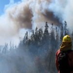 Gobernador del Ñuble e incendios forestales: "Desplegamos todo lo que teníamos, pero vimos que no sería posible combatirlos con nuestros recursos"
