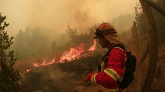 Conaf sobre los incendios forestales: "Han sido de difícil e imposible control"