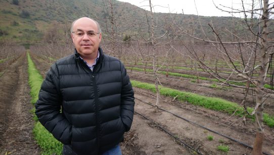 Presidente de Fedefruta por alza de precios en productos agrícolas: "Solo se debiese ver afectada la exportación"