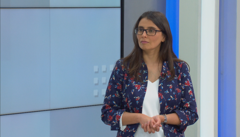 Lorena Flores, directora del centro de Microdatos U. de Chile: "Me sorprendió que subiera la tasa de desocupación"