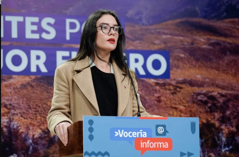 Comisión Asesora contra la Desinformación: De qué se trata, qué funciones tiene y las críticas al proyecto