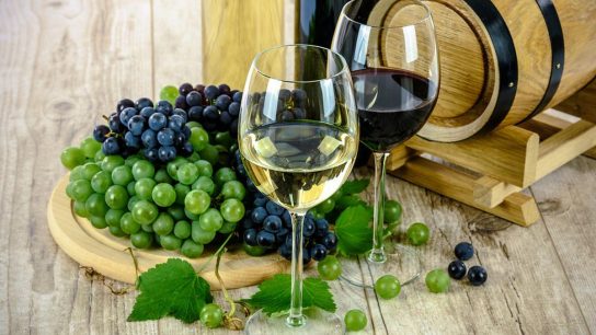 Dra. Paula Margozzini sobre eximir al vino y pisco de alza de precios: "Es una mala señal que va en contra de la evidencia científica"