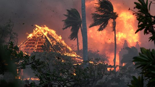 Hawái: Los incendios que azotan la isla norteamericana y que suma decenas de muertos
